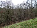 Čeština: Praha-Čimice. Přírodní památka Čimické údolí. English: Prague-Čimice, Czech Republic. Čimice Valley natural monument. Camera location 50° 08′ 28.9″ N, 14° 25′ 07.3″ E    View all coordinates using: OpenStreetMap