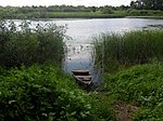 Большое Шелехметское озеро и клюквенное болото