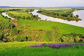 Tanaevskie lyu. Kamsko-Kriushskaya poyma. Natsionalnyy park 