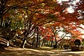 尾関山 Mt.Ozekiyama - panoramio.jpg