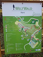 WeltWald Harz