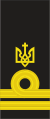 09 UKR тарший лейтенант 15-07-1918 (Рукав).svg
