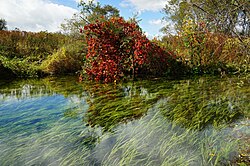 北海道ガーデン街道 Wikipedia