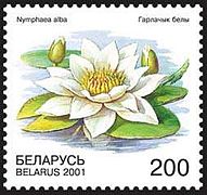 Поштова марка (Білорусь)