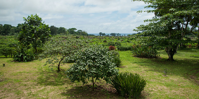 File:2011-SaoTome-15 (8084144486).jpg