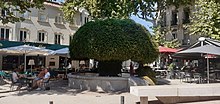 La Fontaine moussue dans le centre-ville.