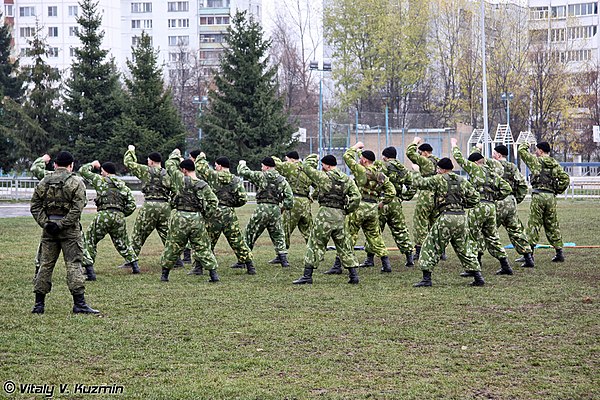 Отдельная мотострелковая рота