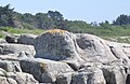 Trégunc (entre la Pointe de la Jument et la plage de Pendruc) : rochers façonnés par l'homme (forme arrondie et base circulaire horizontale), pouvant laisser supposer l'existence à cet endroit d'un ancien lieu de culte préhistorique 3.