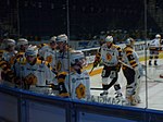 Spelare i Skellefteå AIK.