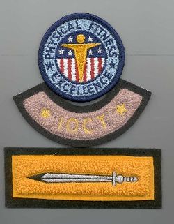 APFT IOCT Commandant's Award Badges.jpg