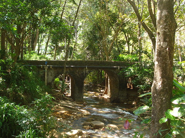 A bridge inside the university.