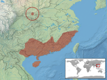 Achalinus rufescens Distribution.png