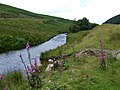 Afon Camddwr near Soar y Mynydd (looking upstream) - geograph.org.uk - 510569.jpg