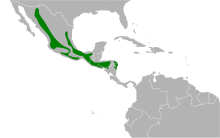 Aimophila rufescens map.svg