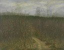 Albijn van den Abeele - Scrubland in Sint-Martens-Latem.jpeg