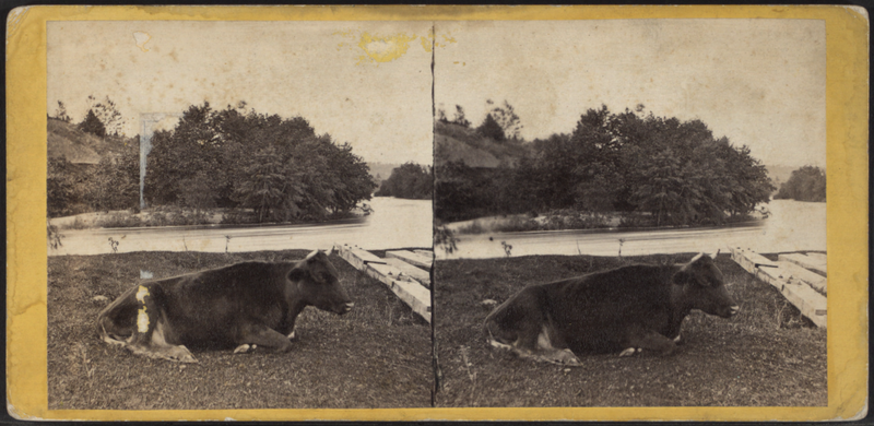 File:All quiet on Rondout Creek, by E. & H.T. Anthony (Firm).png