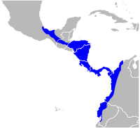 Distribución de Alouatta palliata.[2]