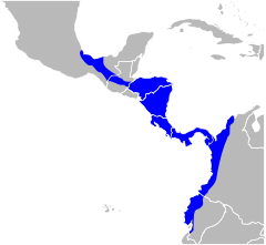 Mapa występowania