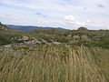 Alpine vegetation in Kosciuszko National Park.jpg