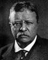 Americana 1920 Theodore Roosevelt (cropped).jpg