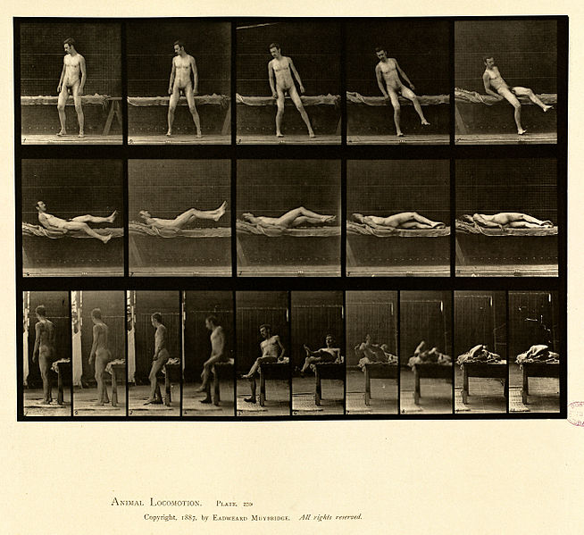 File:Animal locomotion. Plate 259 (Boston Public Library).jpg