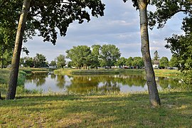 1. Platz Natur/WLE (landscape): Teich des Apetloner Dorfangers von Haeferl