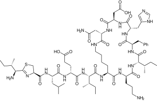 Bacitracin mixture of related cyclic peptides