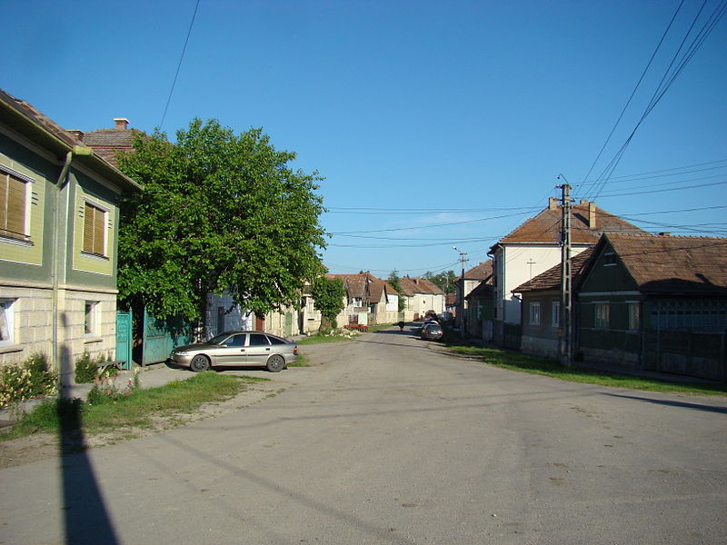 File:BagaraCJ (33).JPG