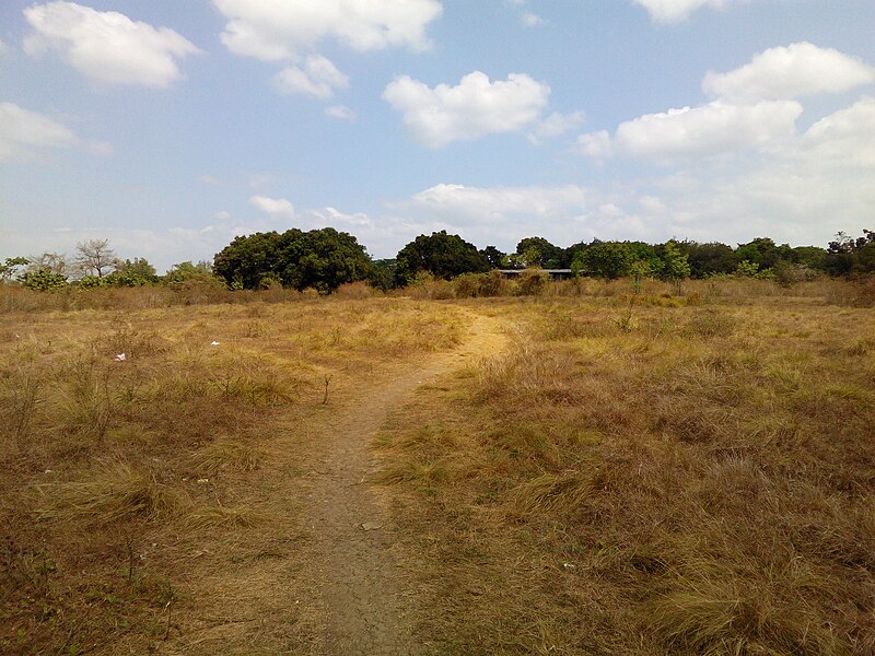 File:Barangays of Pandi, Bulacan - panoramio (1).jpg