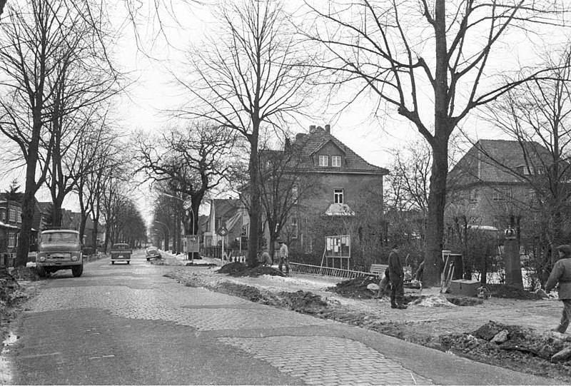 File:Baumfällarbeiten in der Kieler Straße in Kronshagen (Kiel 77.494).jpg