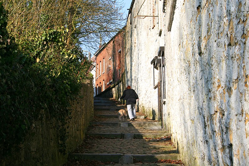 File:Beaumont (Hainaut) - Ruelle.JPG