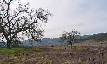 BennettValleylookingsecmhogan