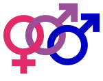 Mars flanked by Venus and Mars symbols for a bisexual man Bisexual male symbol (bold, color).svg