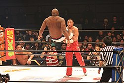 Bob Sapp Wikipedia