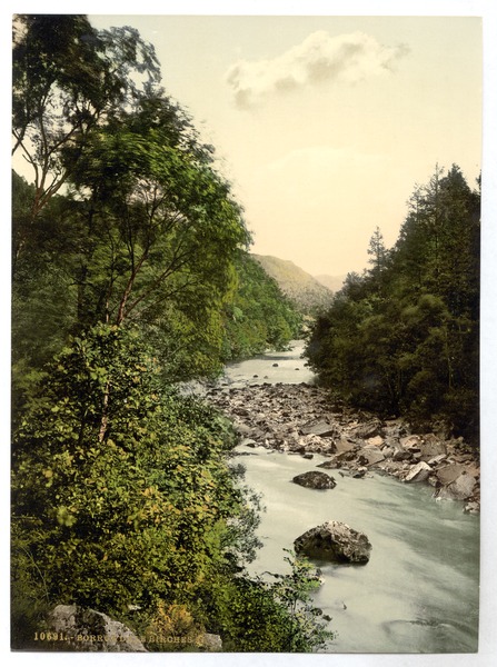 File:Borrowdale Birches, II., Lake District, England-LCCN2002696844.tif