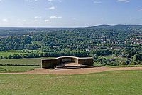 Box Hill (Surrey)