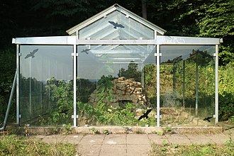 Glass house with tumulus Brundlteich Hugelgrab 01.jpg