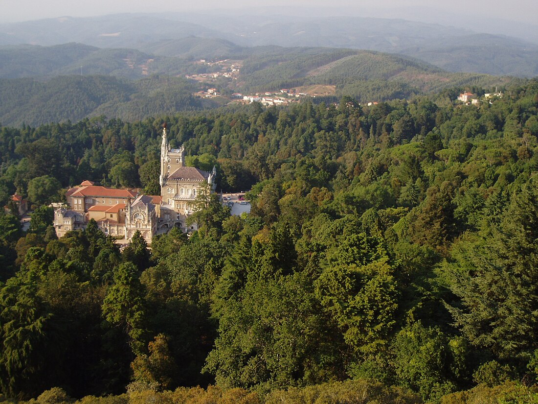 Mata Nacional do Buçaco