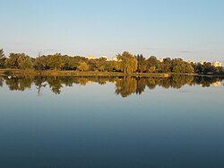 Bujtosi-tó, Örökösföld felé nézve