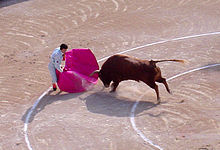 Animals in sport - Wikipedia