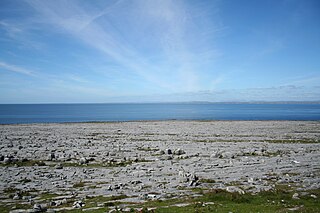<span class="mw-page-title-main">The Burren</span> Glaciated karst landscape region in northwest County Clare, Ireland
