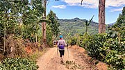 Thumbnail for Camino de Costa Rica