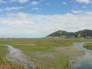 Cantabria Santoña marismas 02 lou.JPG