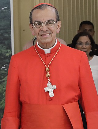 <span class="mw-page-title-main">Gregorio Rosa Chávez</span> Salvadoran Roman Catholic prelate (born 1942)