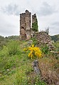 * Nomination Ruins of the Castle of Camboulas, Aveyron, France. --Tournasol7 05:41, 22 December 2021 (UTC) * Promotion Good quality --Llez 06:52, 22 December 2021 (UTC)