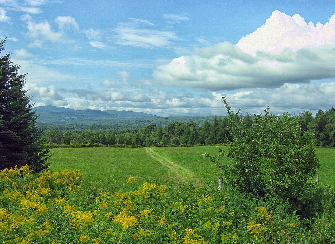 Stukely-Sud (Quebec)