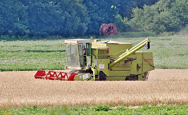 Claas Dominator 85 harvesting winter barley at Ostrittrum, Germany.