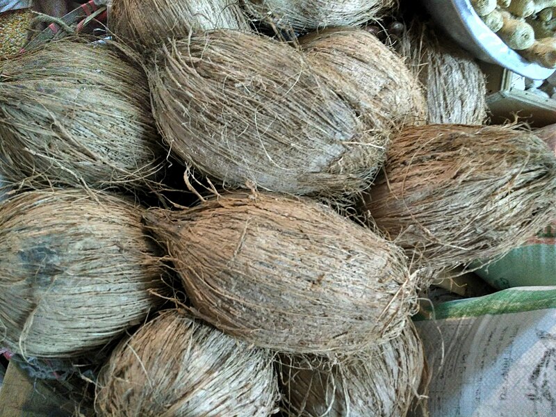 File:Coconut of Bangladesh.jpg