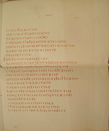 A page showing the Latin text of Epistle to the Colossians 1:28-2:3 on Codex Claromontanus from ca. AD 550. Codex claromontanus 2 latin.jpg