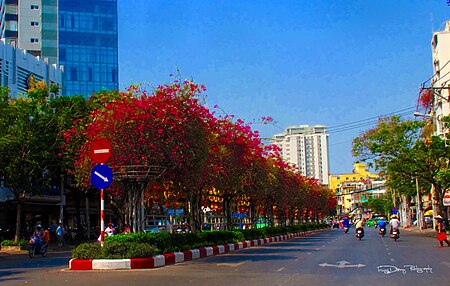 Tập_tin:Con_duong_Hoa_giay_hoang_dieu,phường_12,_Quận_4,_Hồ_Chí_Minh,_Việt_Nam_-_panoramio.jpg